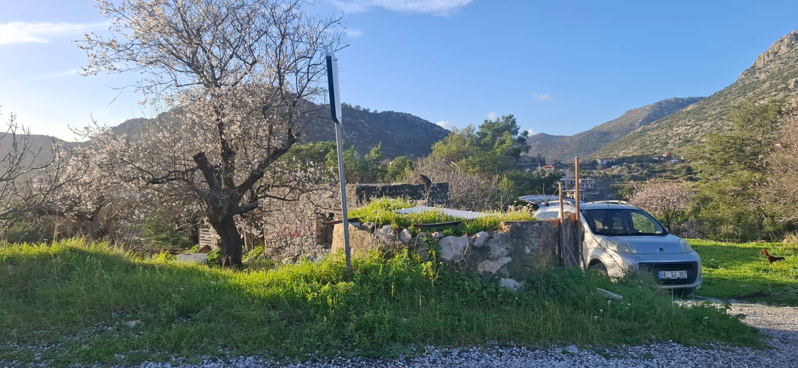 MABELDEN MARMARİS SÖĞÜTTE 7 DÖNÜM DENİZ MANZARALI SATILIKI ARAZİ